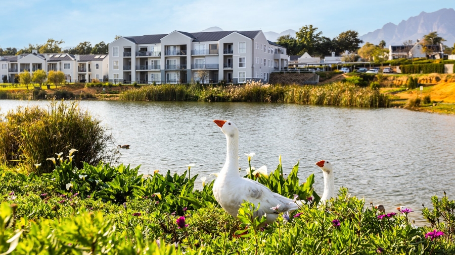 0 Bedroom Property for Sale in Wellington Central Western Cape